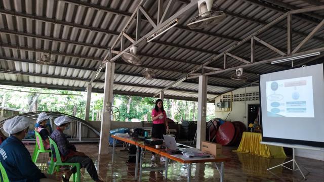 4. อบรมเชิงปฏิบัติการพัฒนาน้ำพริก หนองตาเรือ วันที่ 22 มิถุนายน 2564 และวันที่ 25 มิถุนายน 2564 ณ บ้านหนองตาเรือ ตำบลวังหิน อำเภอเมือง จังหวัดตาก